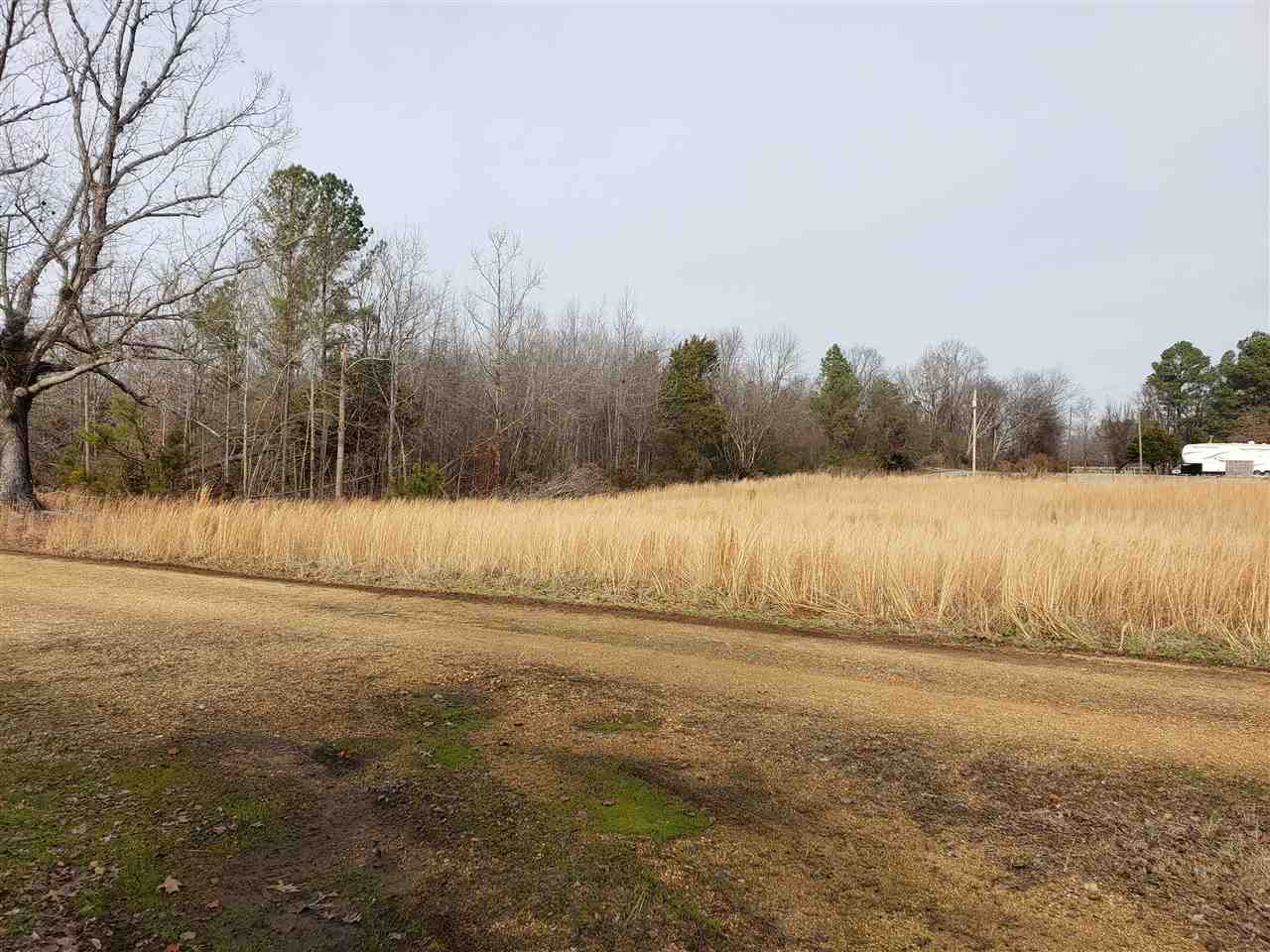 155 Harris Road Adamsville, TN 38310 - Photo 11 of 25 Gallery Image 11