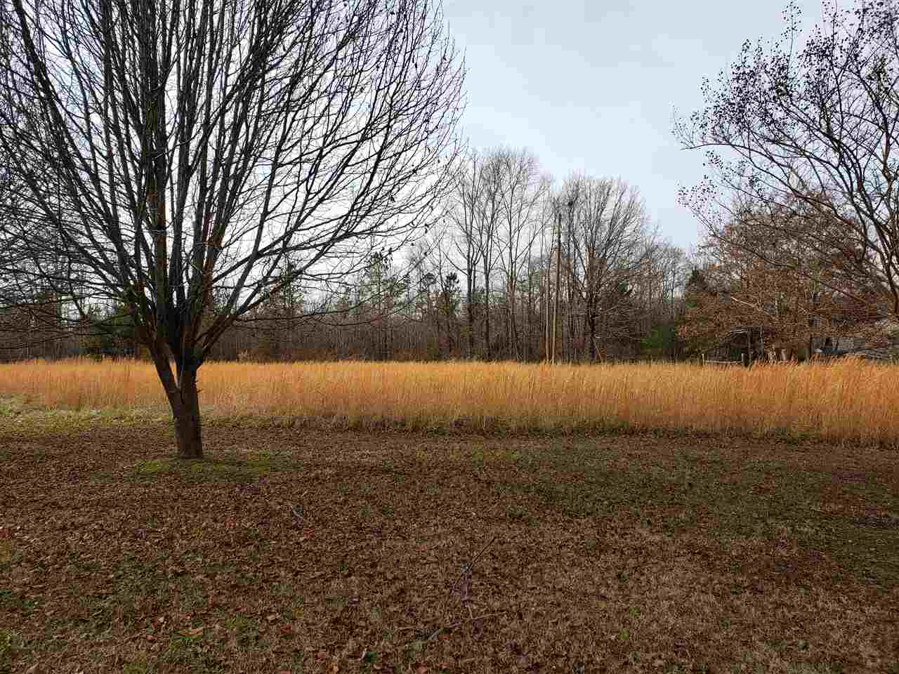 155 Harris Road Adamsville, TN 38310 - Photo 13 of 25 Gallery Image 13