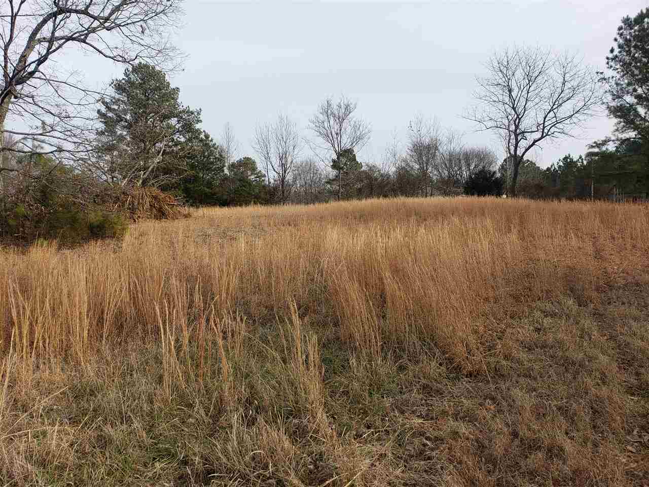 155 Harris Road Adamsville, TN 38310 - Photo 16 of 25 Gallery Image 16