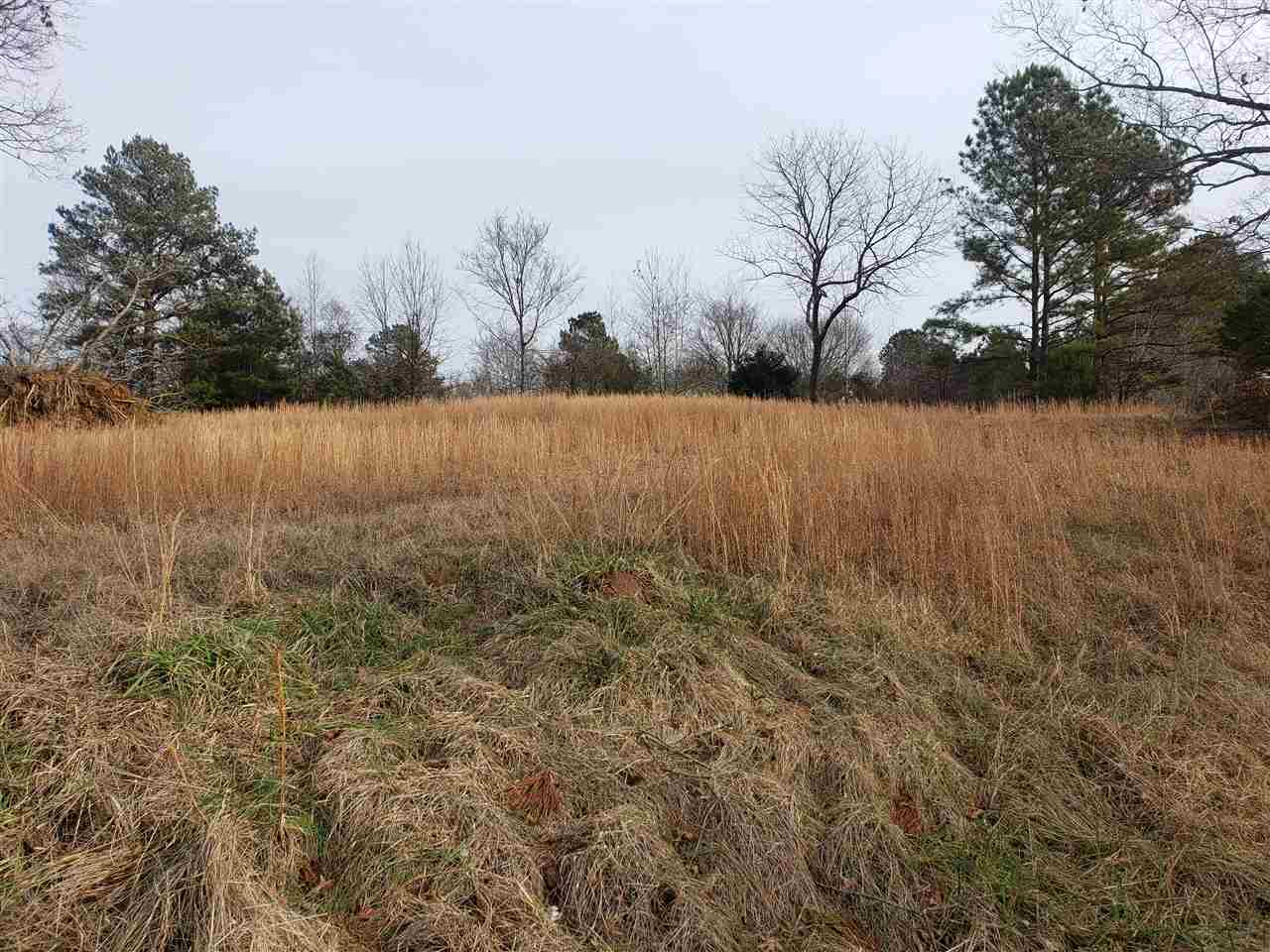 155 Harris Road Adamsville, TN 38310 - Photo 23 of 25 Gallery Image 23