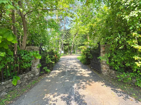 a pathway of a yard