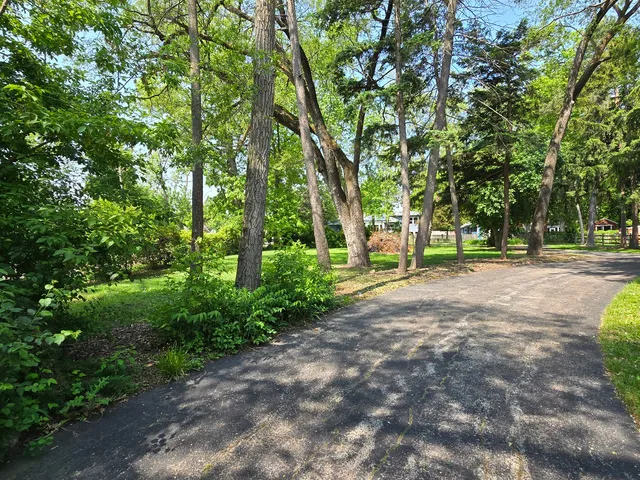 a view of outdoor space with deck and tree