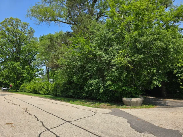a view of a yard with plants