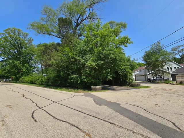 a street view with tall trees