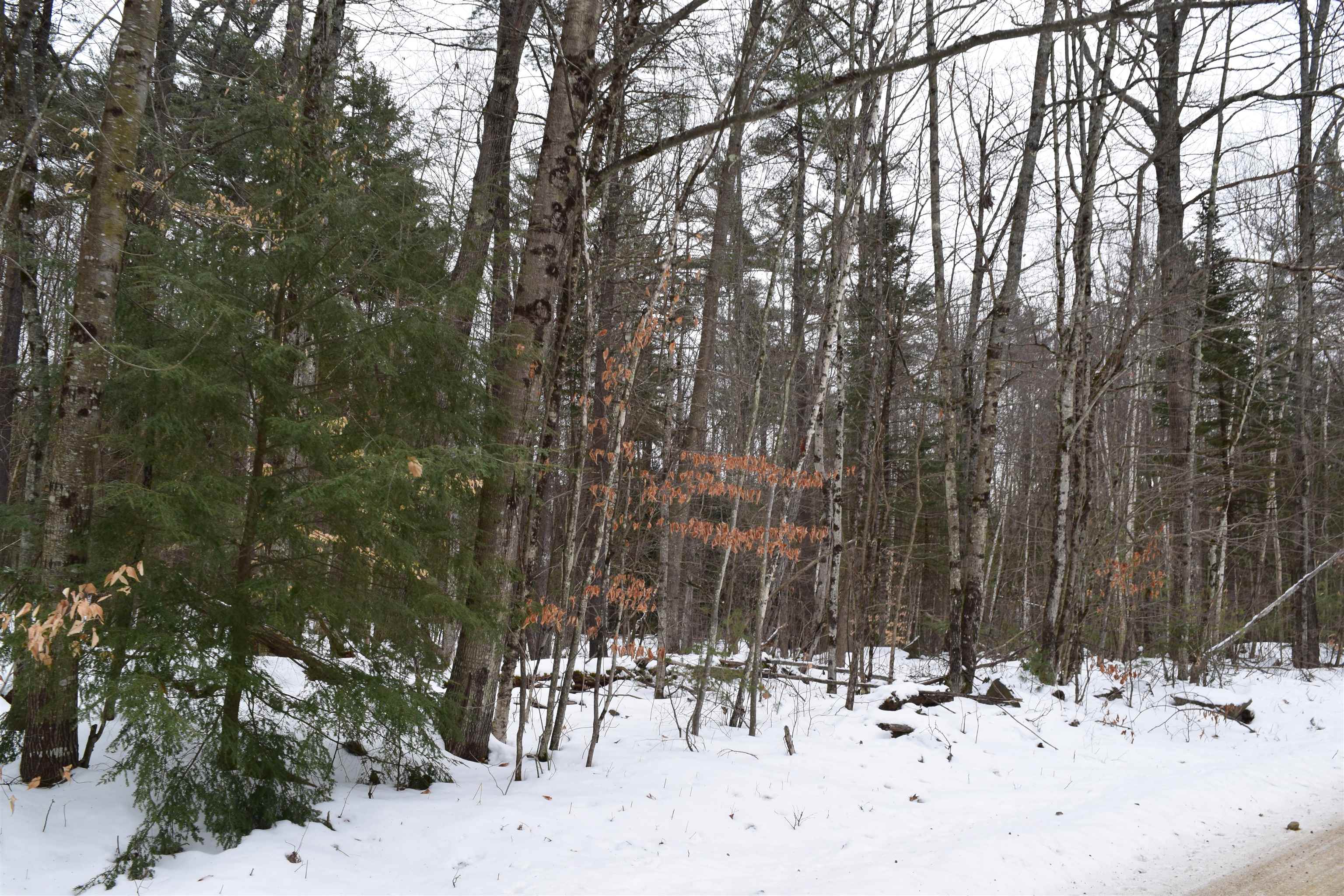 149 Bear Road, Unit 149 Haverhill, NH 03785 - Photo 1 of 9 Gallery Image 1