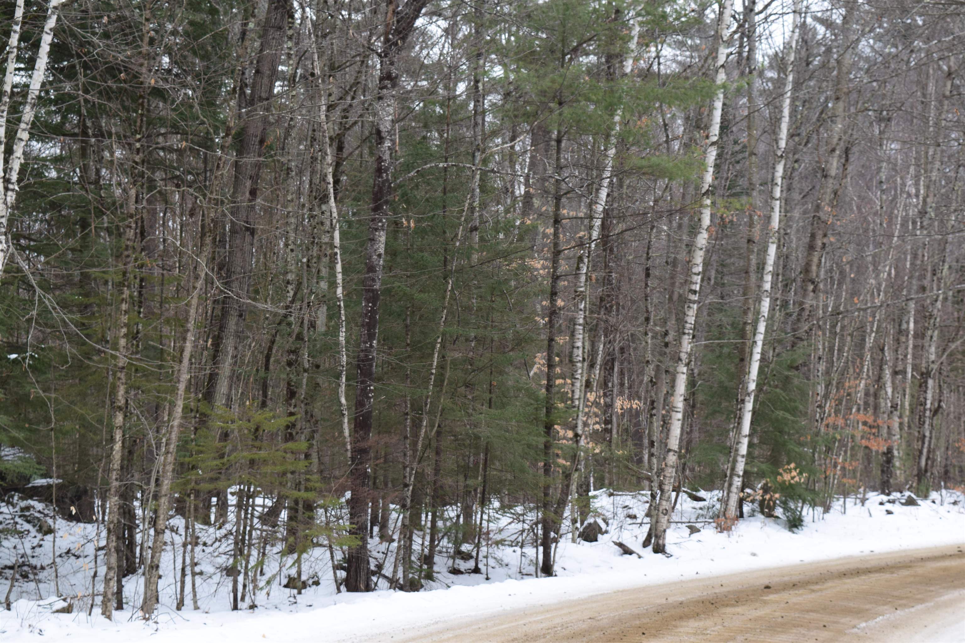 149 Bear Road, Unit 149 Haverhill, NH 03785 - Photo 2 of 9 Gallery Image 2