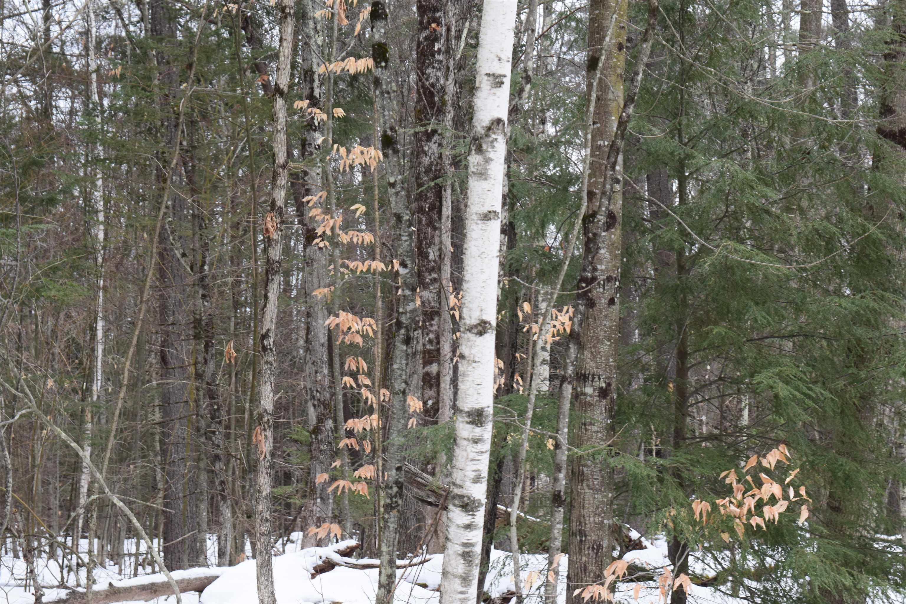 149 Bear Road, Unit 149 Haverhill, NH 03785 - Photo 3 of 9 Gallery Image 3