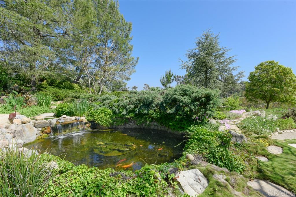 17233 Via Recanto Rancho Santa Fe, CA 92067 - Photo 9 of 25