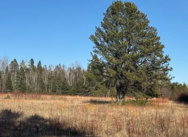 $375,000 | 5797 North Shore Drive, Duluth, MN 55804