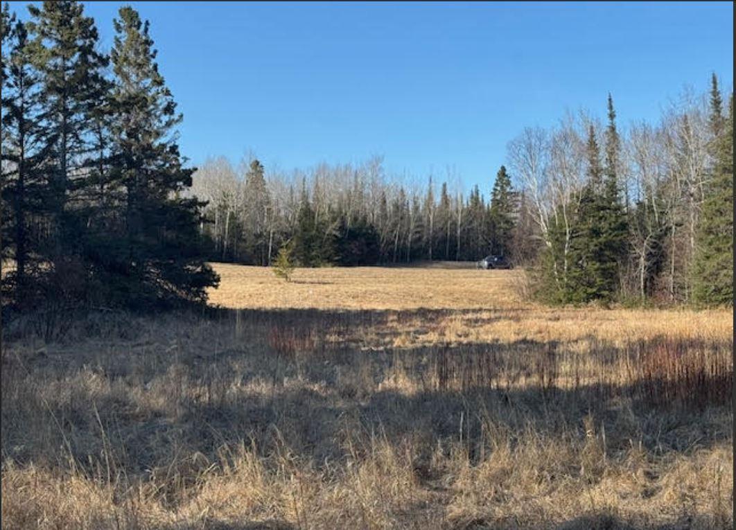 5797 North Shore Drive Duluth, MN 55804 - Photo 4 of 22