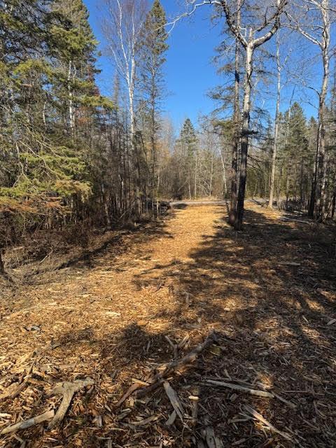 5797 North Shore Drive Duluth, MN 55804 - Photo 5 of 22