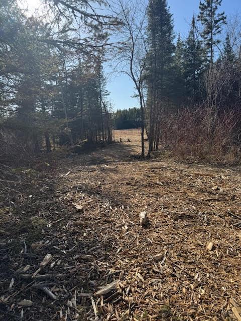 5797 North Shore Drive Duluth, MN 55804 - Photo 6 of 22