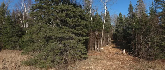 $375,000 | 5797 North Shore Drive, Duluth, MN 55804