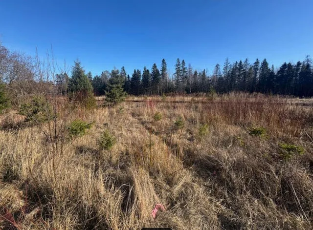 $375,000 | 5797 North Shore Drive, Duluth, MN 55804