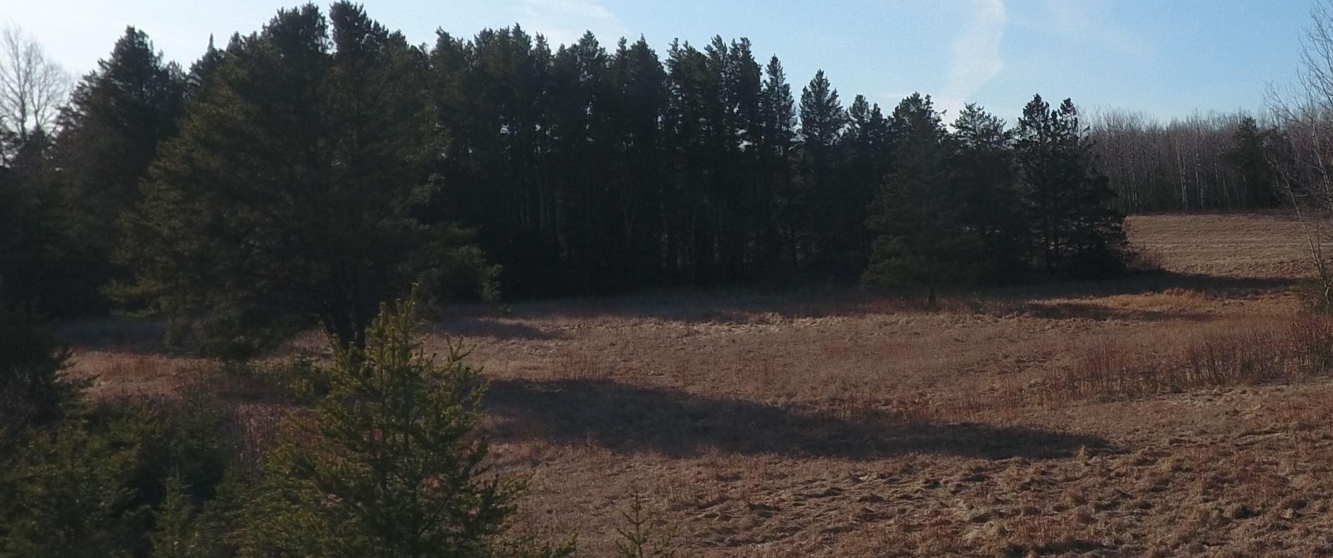 5797 North Shore Drive Duluth, MN 55804 - Photo 10 of 22