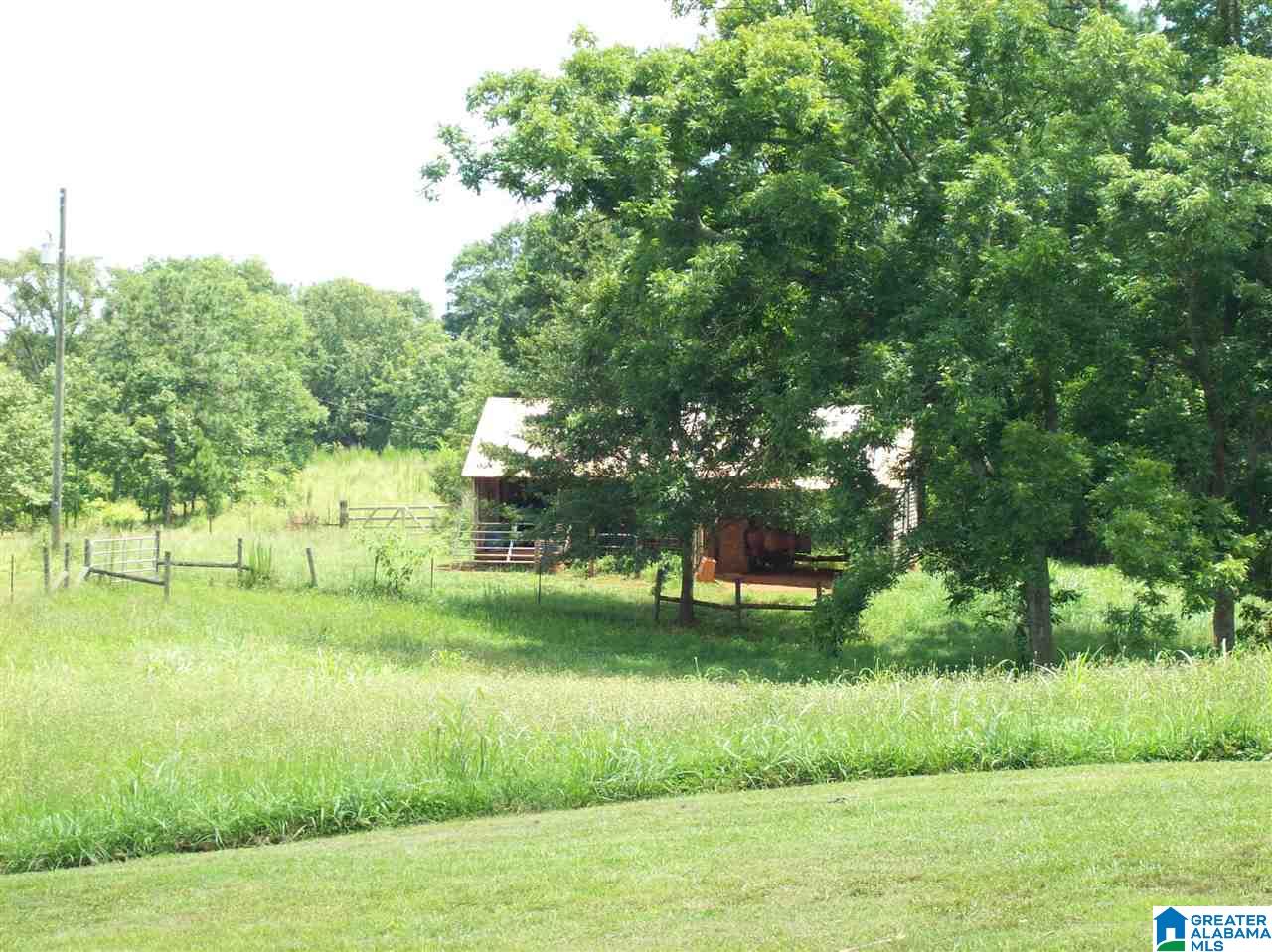 31530 Highway 48 Graham, AL 36263 - Photo 11 of 41