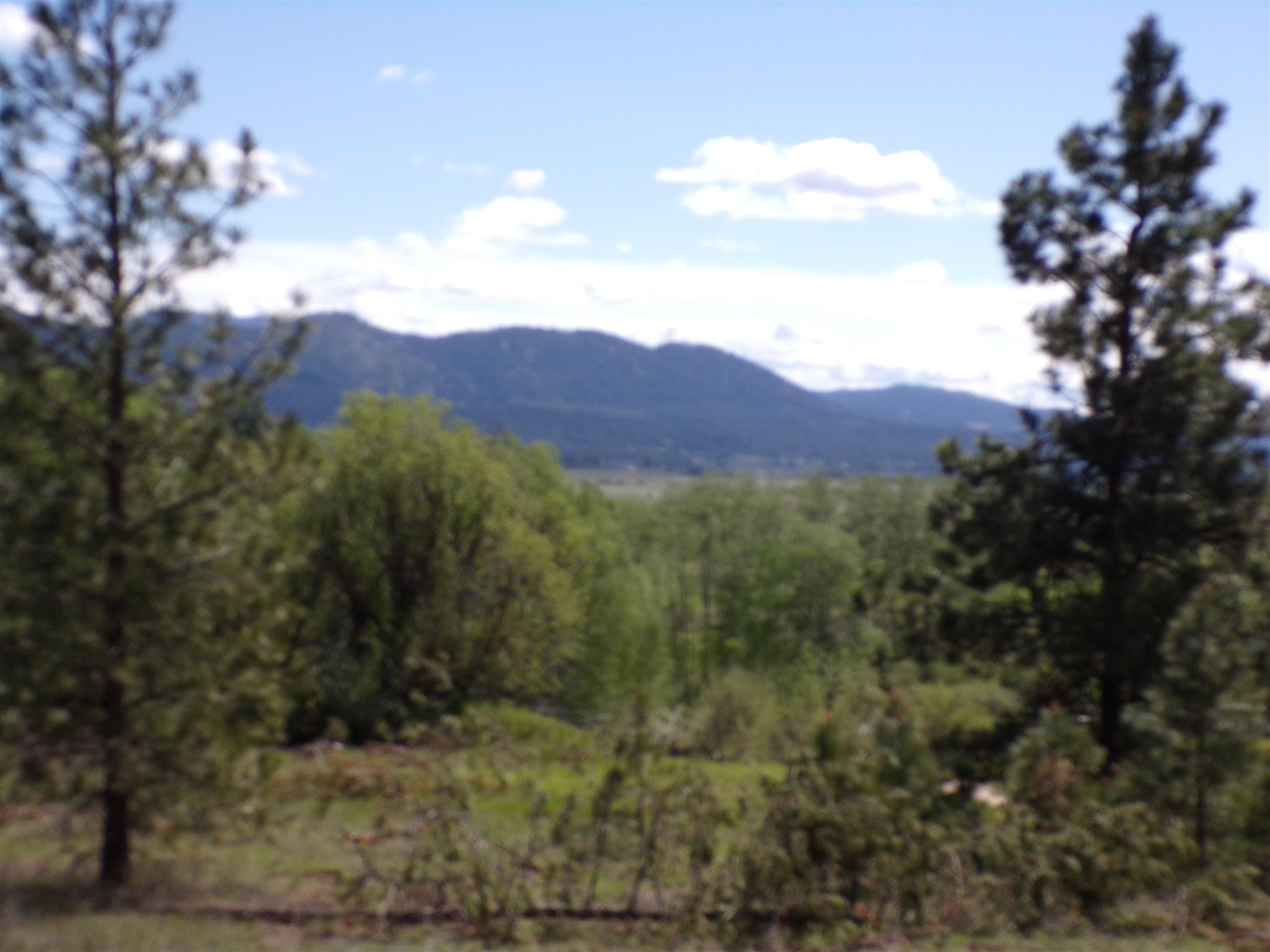 19995 Westside Calispel Road Cusick, WA 99119 - Photo 1 of 18