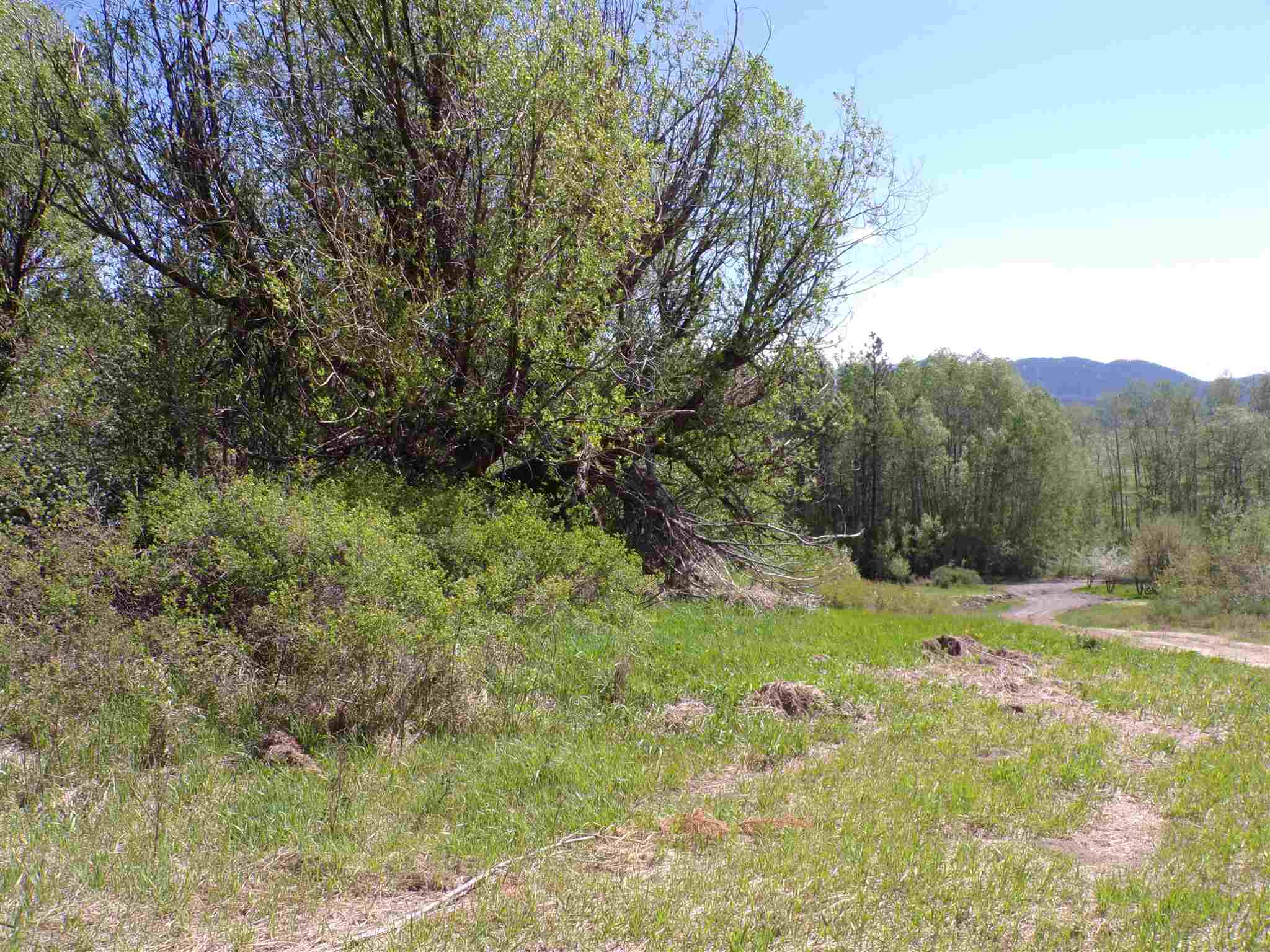 19995 Westside Calispel Road Cusick, WA 99119 - Photo 11 of 18