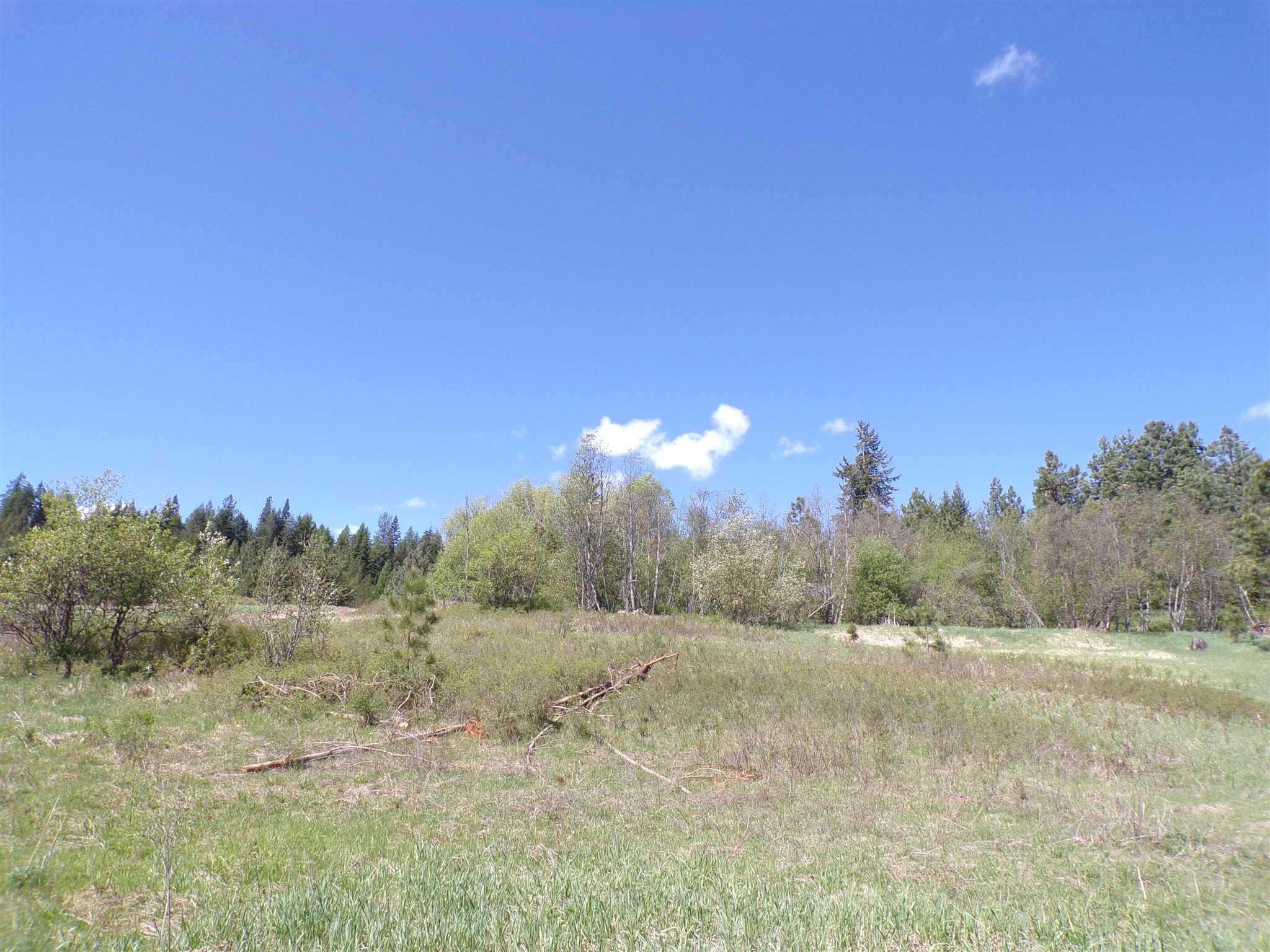 19995 Westside Calispel Road Cusick, WA 99119 - Photo 12 of 18