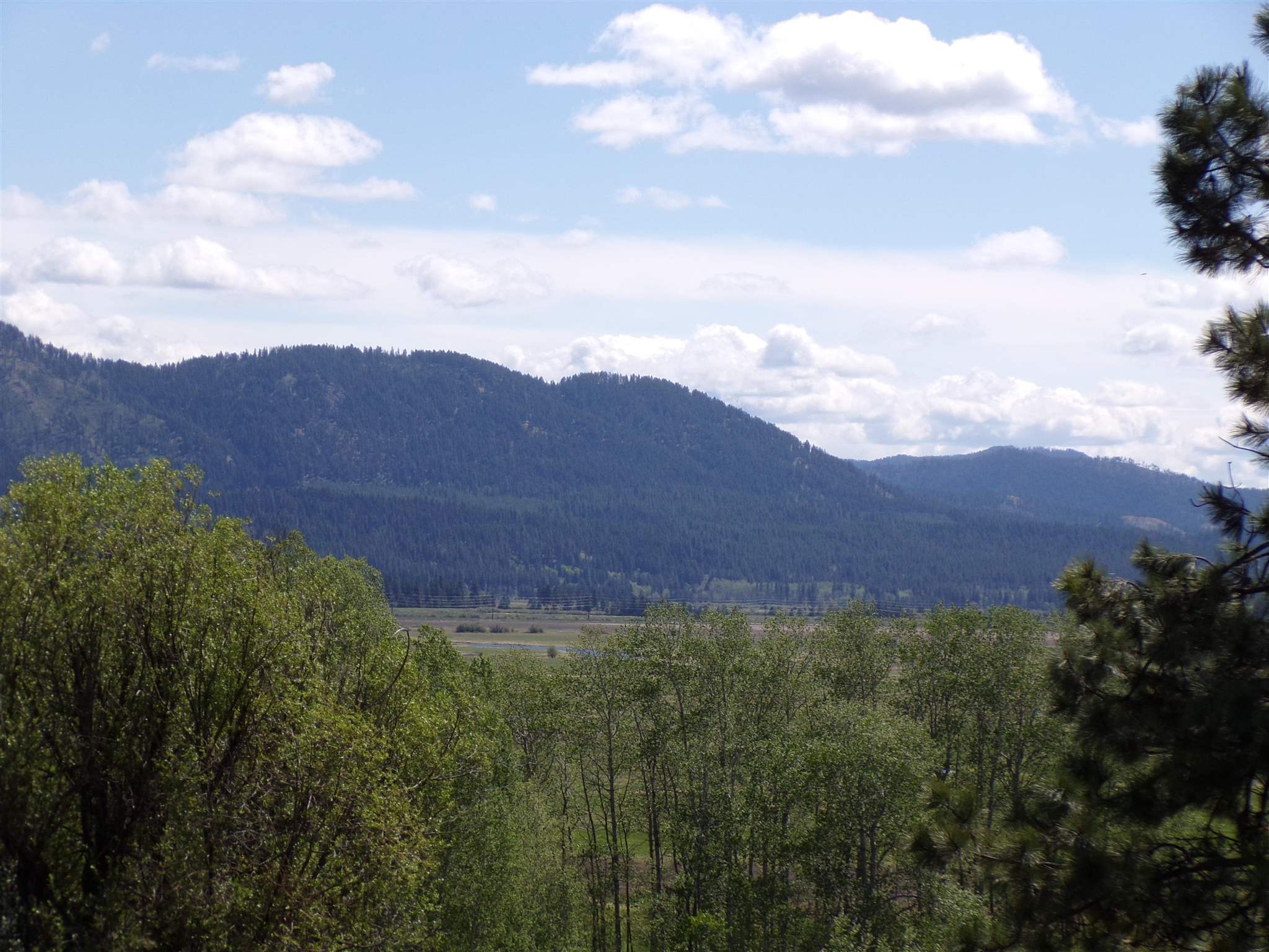 19995 Westside Calispel Road Cusick, WA 99119 - Photo 14 of 18