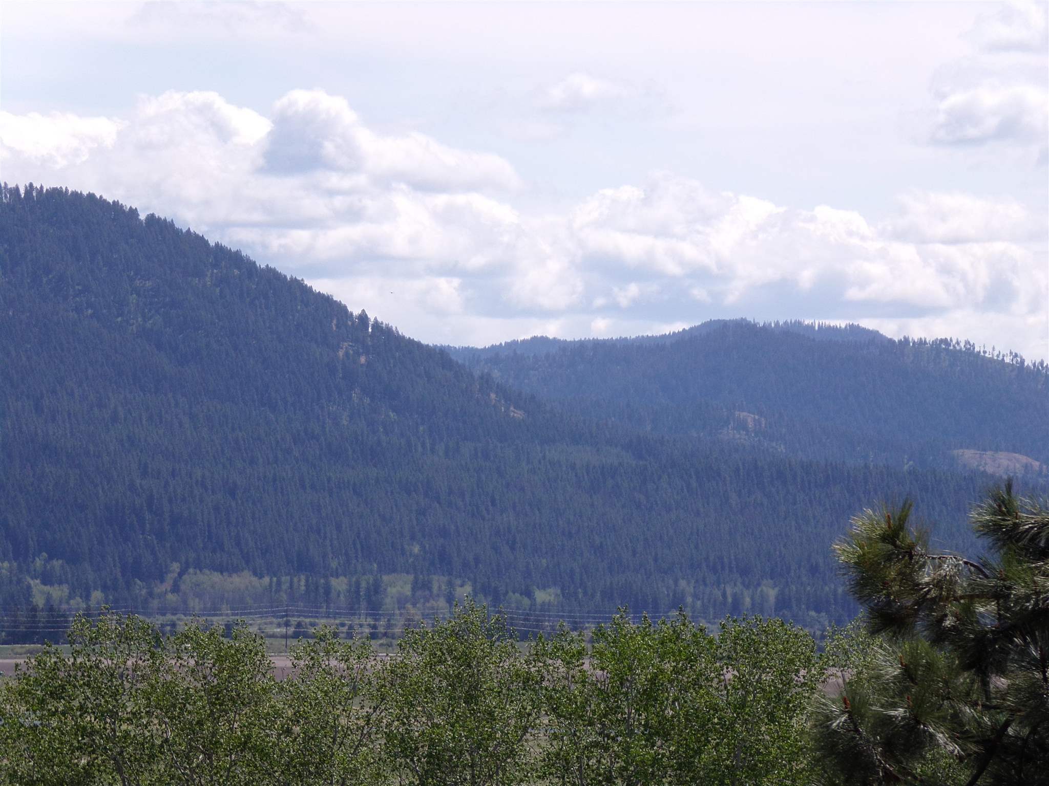 19995 Westside Calispel Road Cusick, WA 99119 - Photo 15 of 18