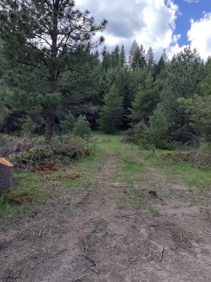 19995 Westside Calispel Road Cusick, WA 99119 - Photo 17 of 18