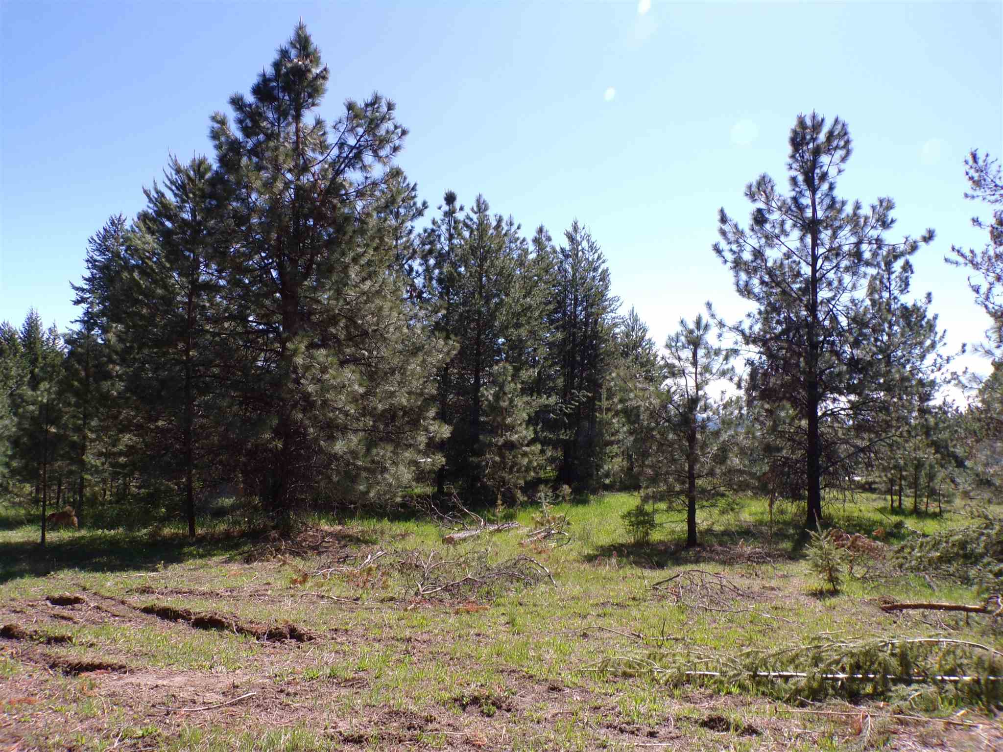 19995 Westside Calispel Road Cusick, WA 99119 - Photo 3 of 18