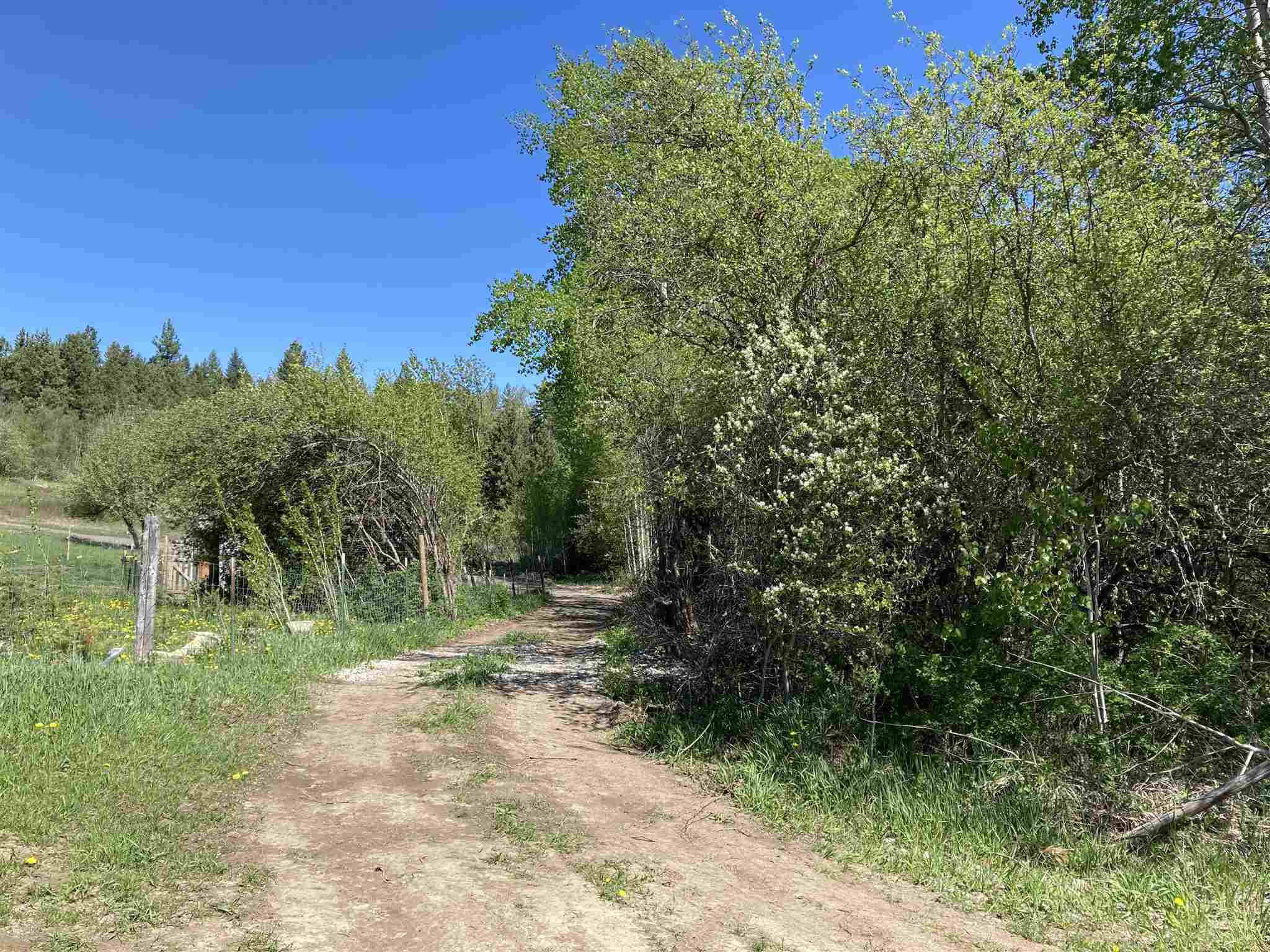 19995 Westside Calispel Road Cusick, WA 99119 - Photo 4 of 18