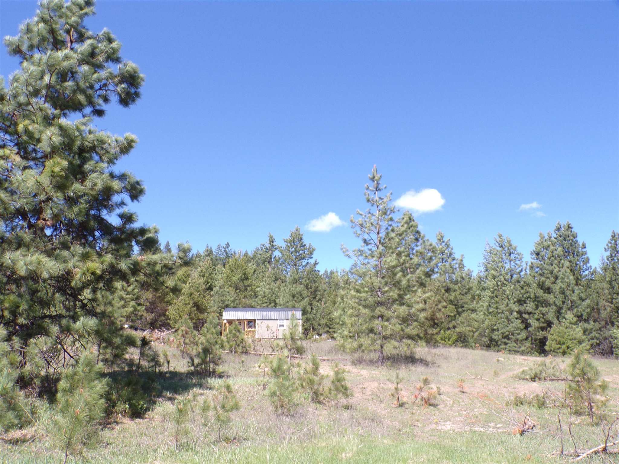 19995 Westside Calispel Road Cusick, WA 99119 - Photo 5 of 18