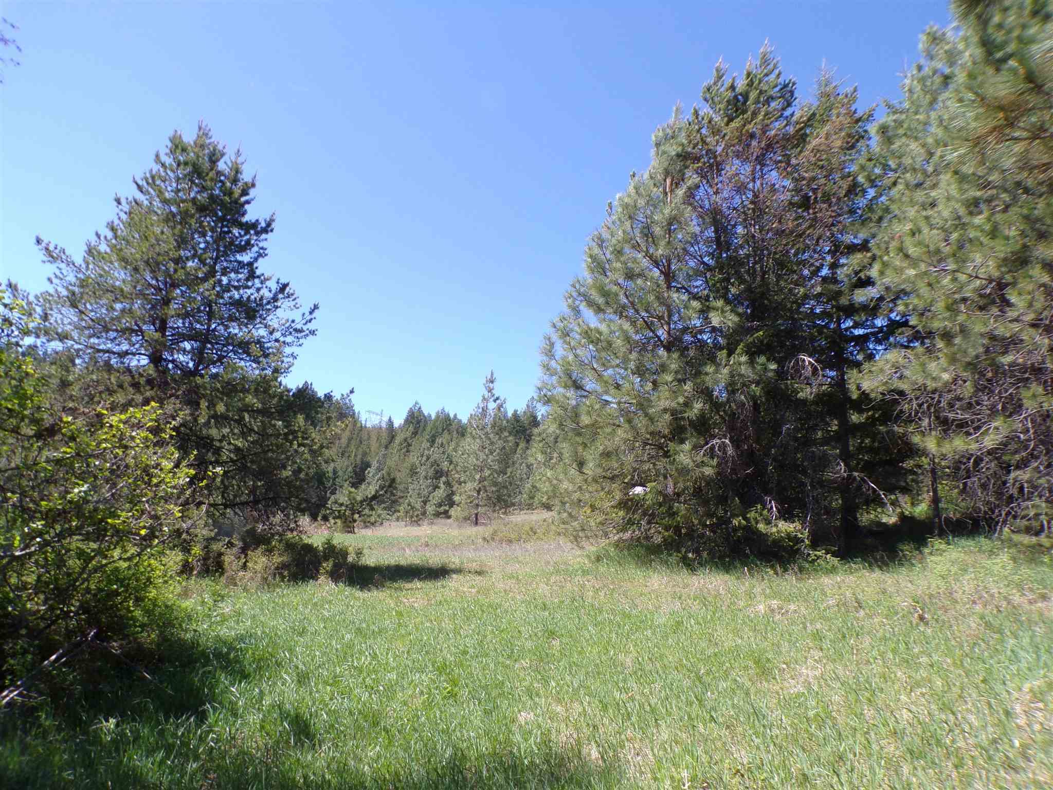 19995 Westside Calispel Road Cusick, WA 99119 - Photo 6 of 18