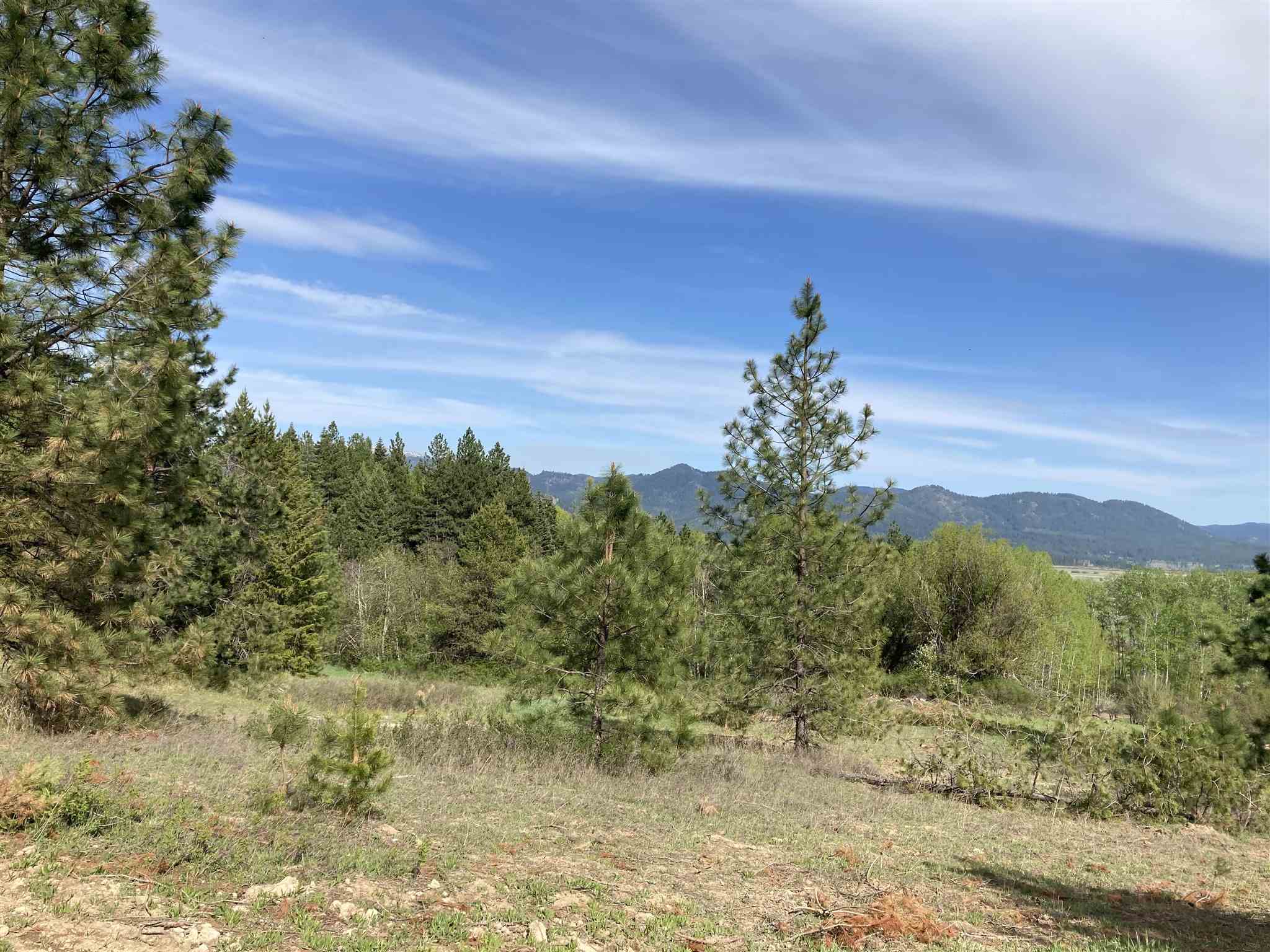19995 Westside Calispel Road Cusick, WA 99119 - Photo 7 of 18