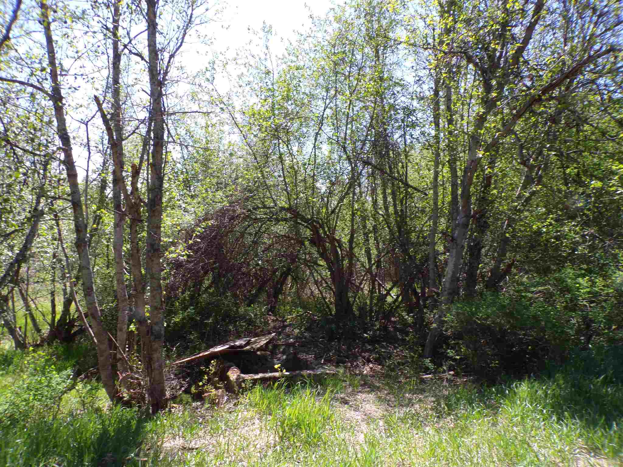 19995 Westside Calispel Road Cusick, WA 99119 - Photo 9 of 18