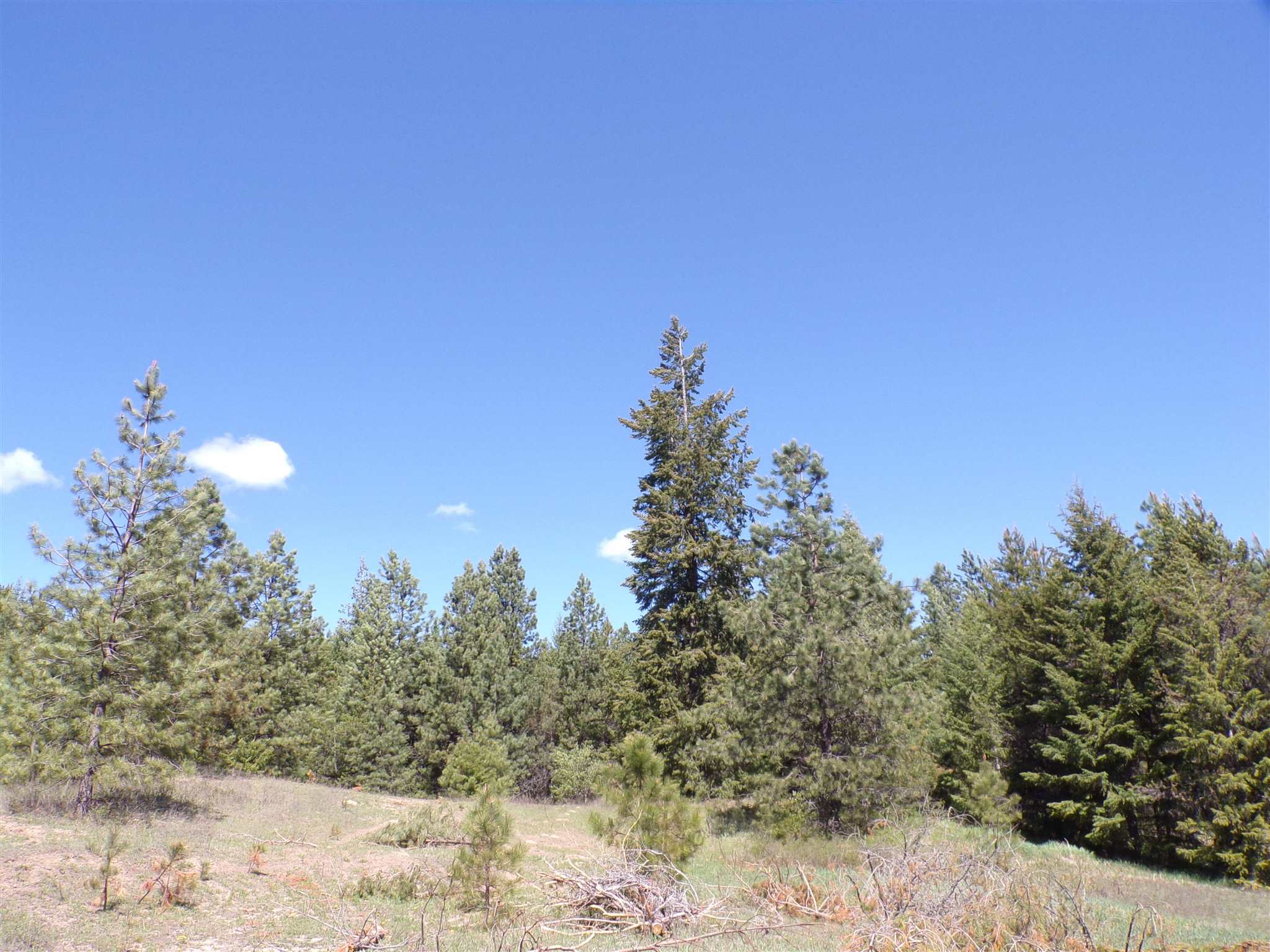 19995 Westside Calispel Road Cusick, WA 99119 - Photo 10 of 18