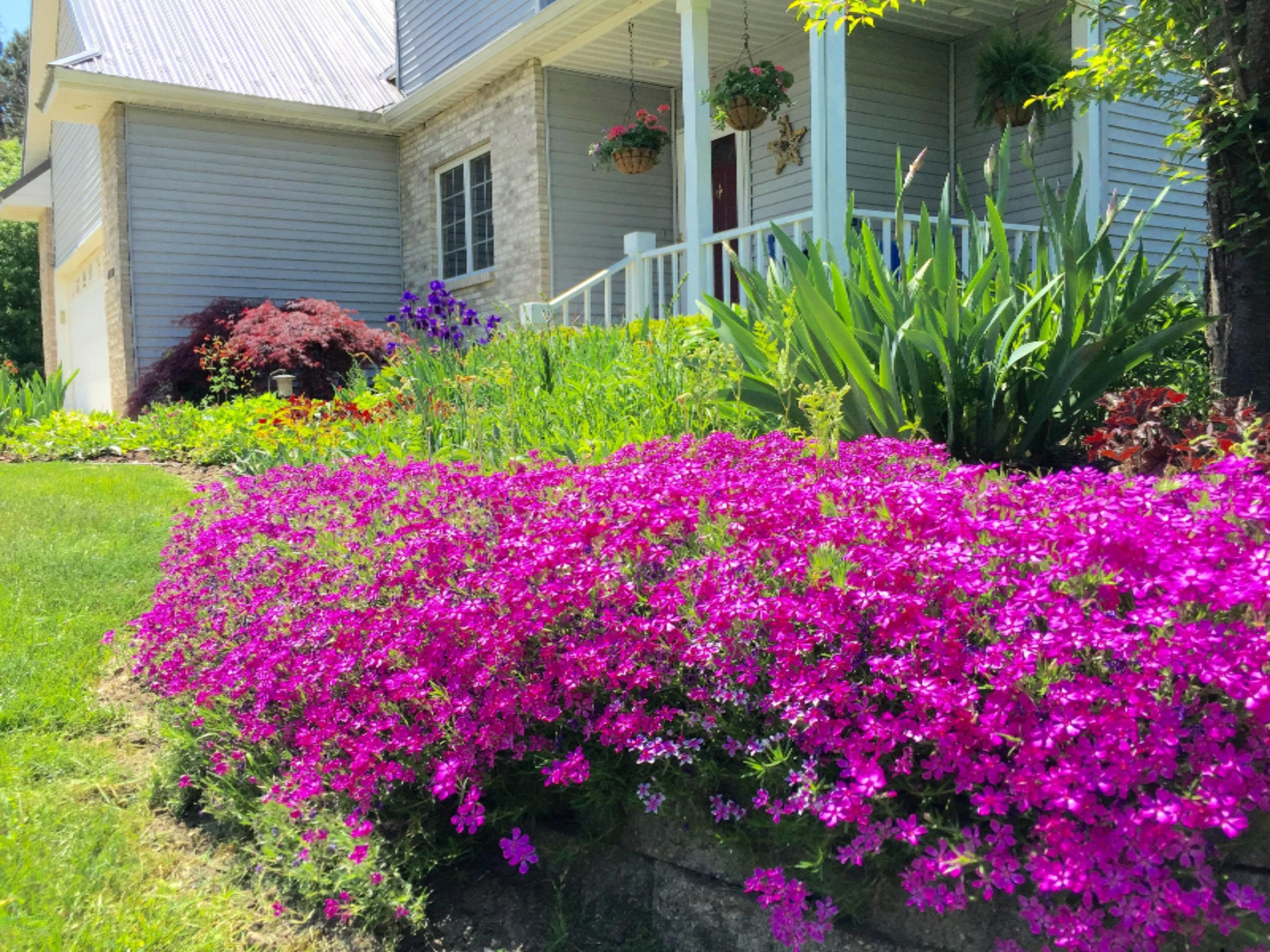 11011 Alger Avenue Grant, MI 49327 - Photo 15 of 44 IMG_1145