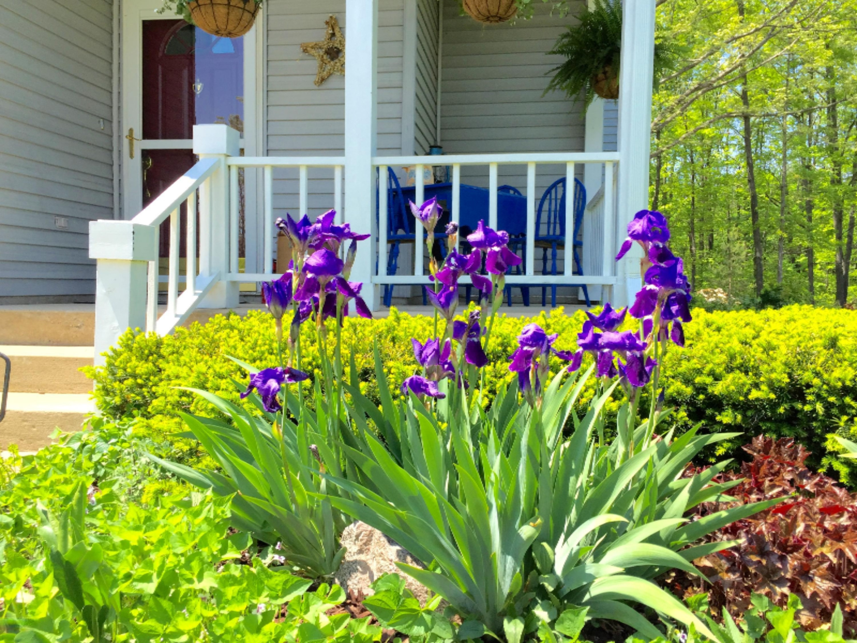 11011 Alger Avenue Grant, MI 49327 - Photo 16 of 44 IMG_1146