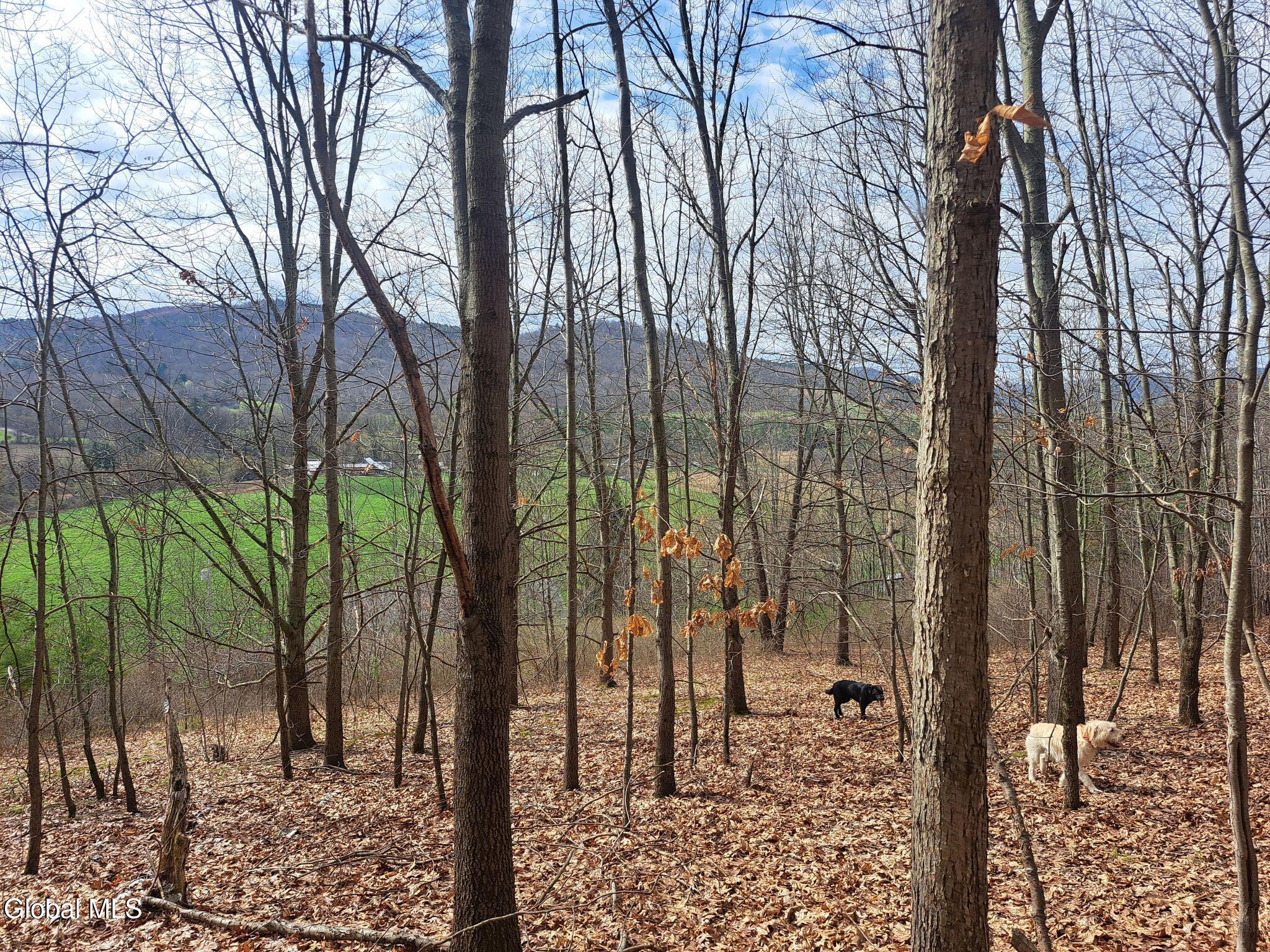 277 Breese Hollow Road Hoosick, NY 12089 - Photo 47 of 52 47 Mature Forets and Distant Pastures