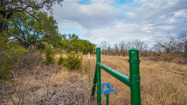 a view of a yard with lots of green space