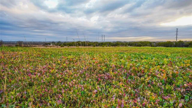 $1,395,000 | 1436 County Road 216, Iredell, TX 76649