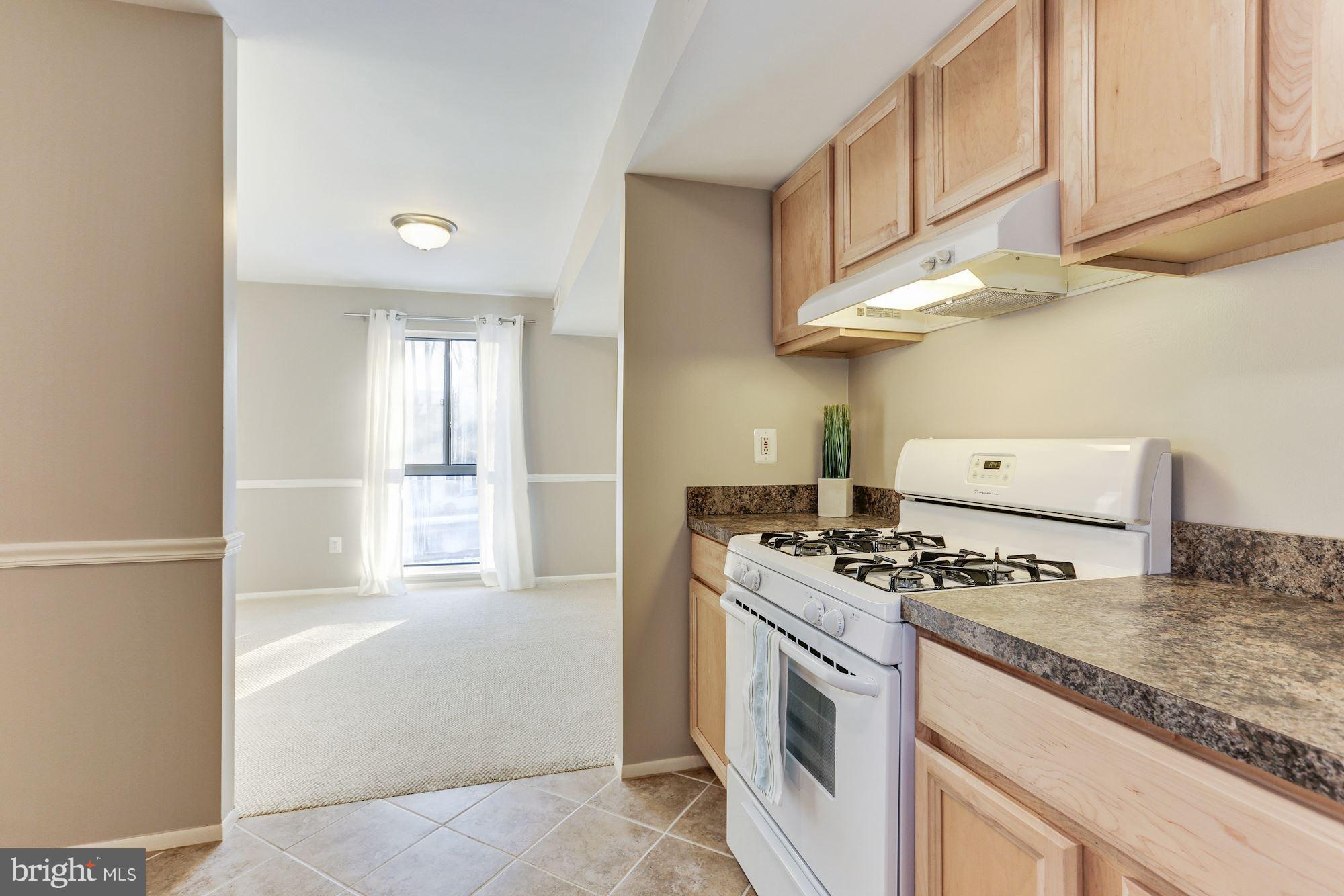 2063 Royal Fern Court, Unit 11B Reston, VA 20191 - Photo 18 of 25