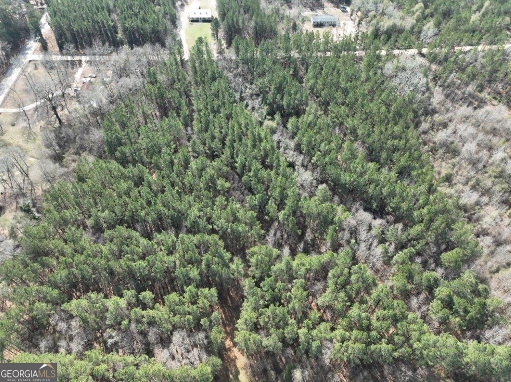 0 Clarks Bridge Road Stapleton, GA 30823 - Photo 1 of 1