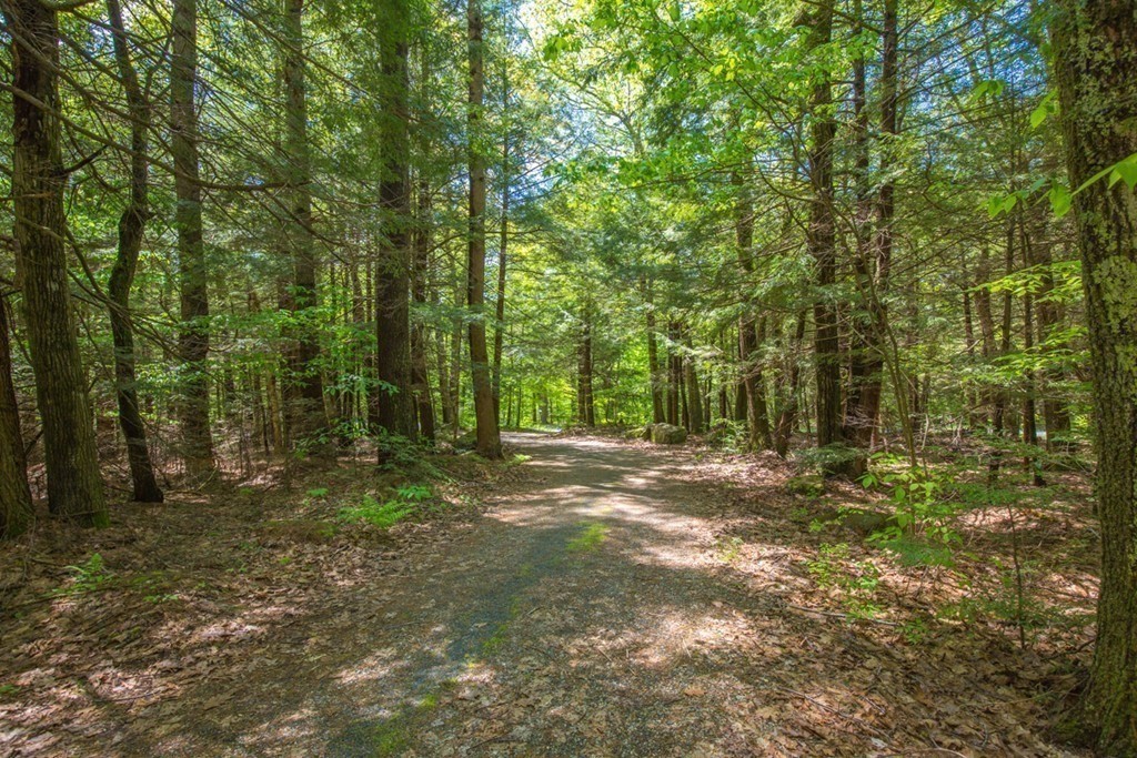 752 Algerie Road Otis, MA 01008 - Photo 7 of 38