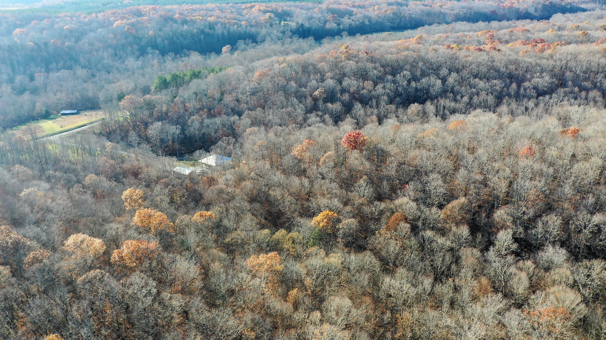 8427 Last Butler Creek Road Iron City, TN 38463 - Photo 46 of 50