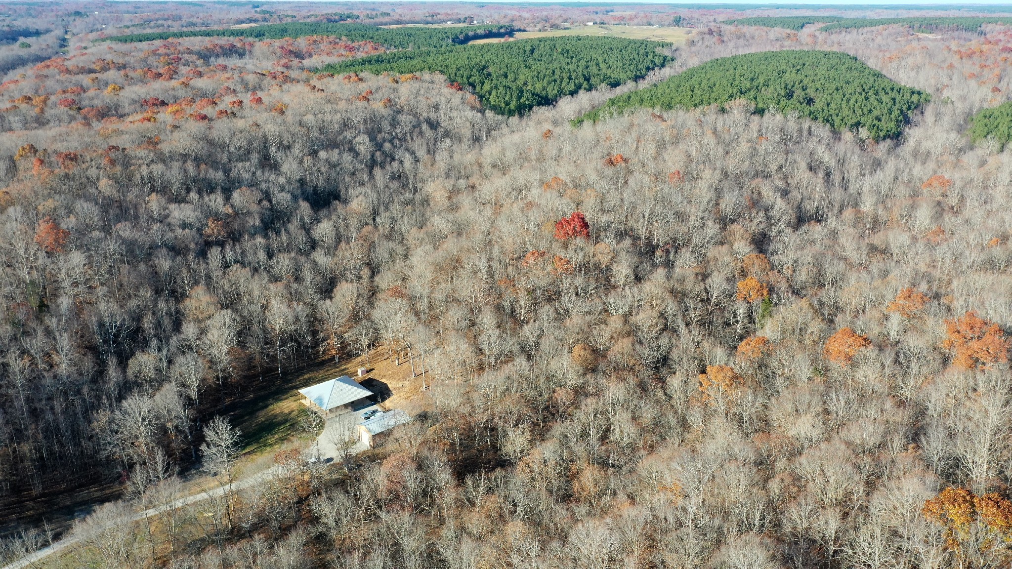 8427 Last Butler Creek Road Iron City, TN 38463 - Photo 47 of 50 a view of a dry yard with lots of trees