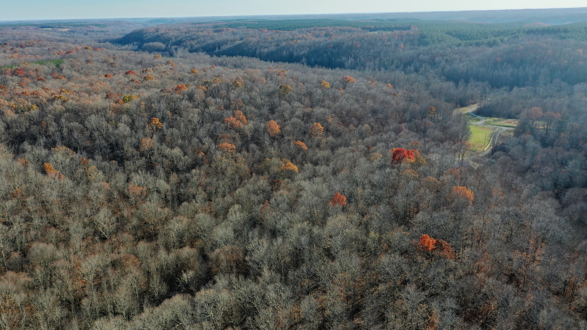 8427 Last Butler Creek Road Iron City, TN 38463 - Photo 48 of 50 a view of a dry yard