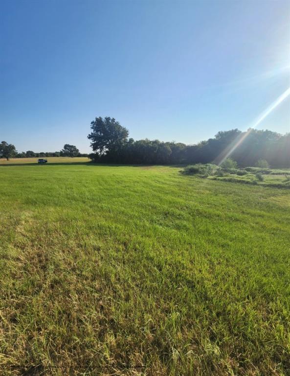 0 Southeast County Road Kerens, TX 75144 - Photo 12 of 19