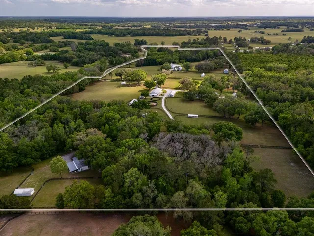 a view of a city with lots of trees
