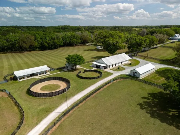 a view of a swimming pool with lawn chairs and plants