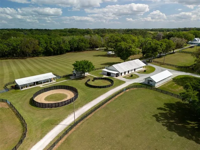 a view of a swimming pool with lawn chairs and plants