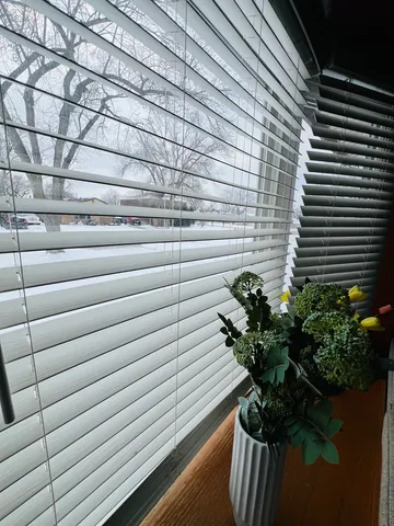 a potted plant sitting on a brick wall