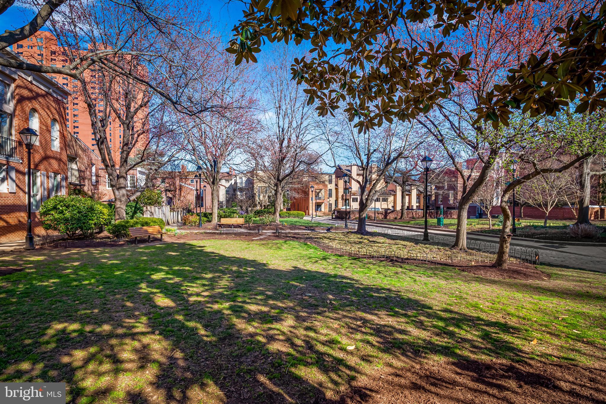 609 South Sharp Street Baltimore, MD 21230 - Photo 48 of 51 a view of road with large trees